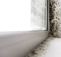 Thema avond schimmel en vocht in de woning